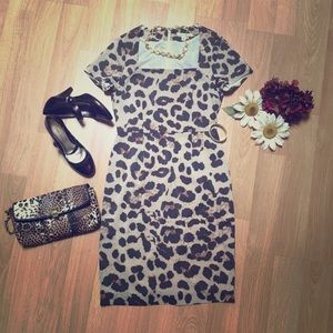 Banana Republic Dress, Size 6